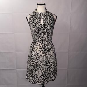 MNG collection leopard print short sleeve dress women’s size 2